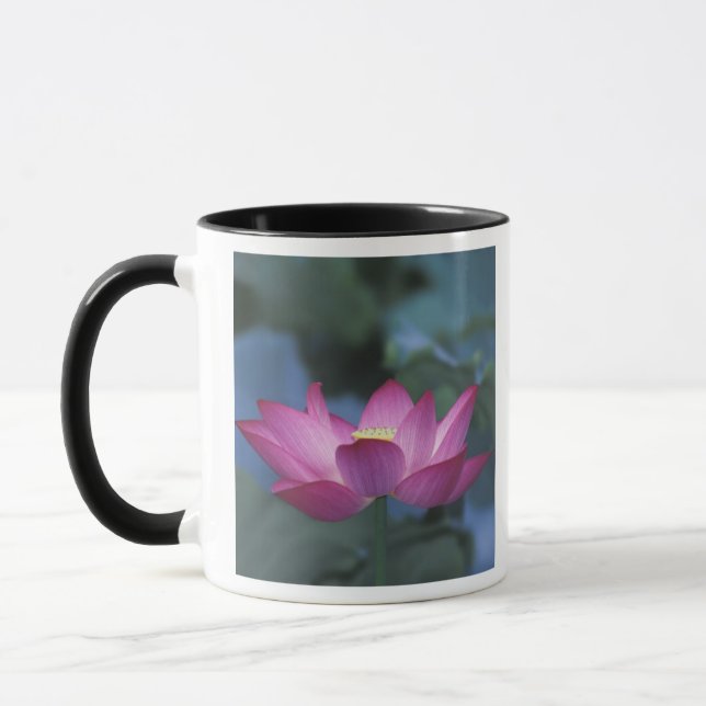 Mug Gros plan sur une fleur de lotus rouge et des feui (Gauche)