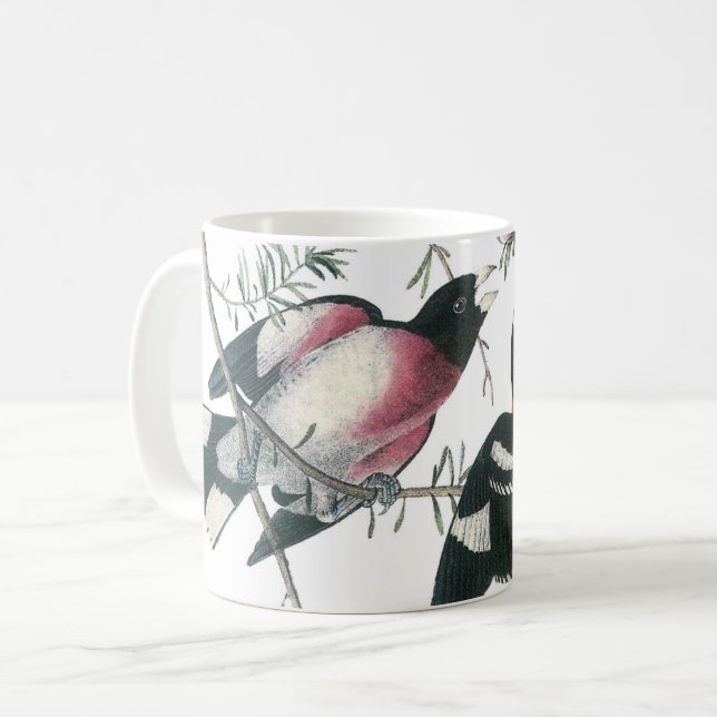 Mug Grosbeak à poitrine rose par Audubon (Devant gauche)