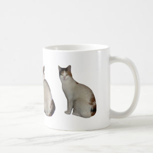 Mug Groupe de calicot