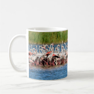 Mug Groupe de flamants roses en Camargue