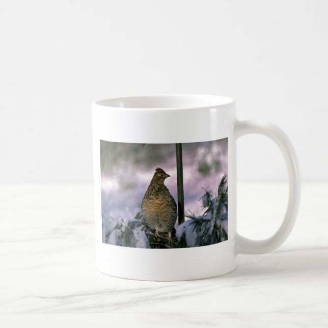 Mug Grouse de Ruffed étée perché dans l'arbre neigeux (Droite)