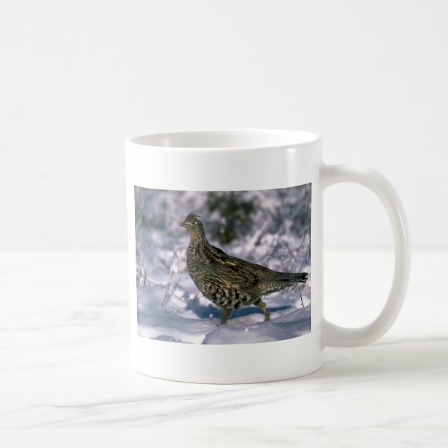 Mug Grouse de Ruffed se tenant en bois neigeux (Droite)