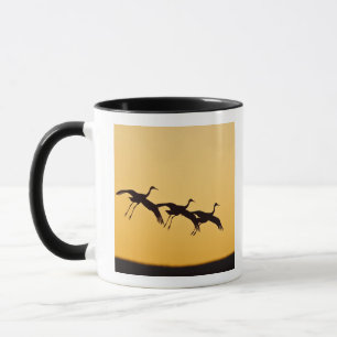 Mug Grue du Canada atterrissant au coucher du soleil