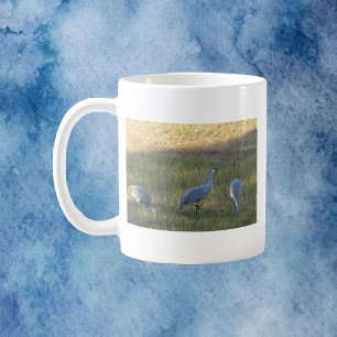 Mug Grues de Sandhill - photo de Graduation des oiseau