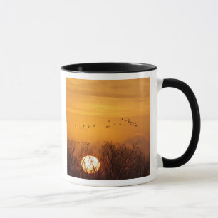 Mug Grues du Canada silhouettées sur le soleil levant