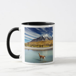 Mug Guanaco traversant la rivière en Torres del Paine