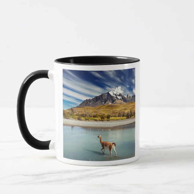 Mug Guanaco traversant la rivière en Torres del Paine (Gauche)