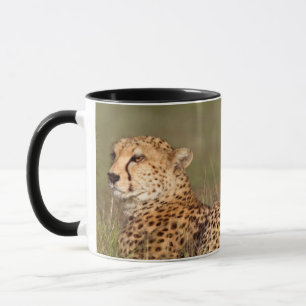Mug Guépard allongé dans l'herbe, Ngorongoro Conservat