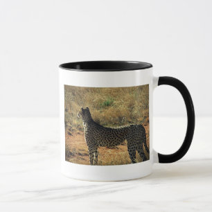 Mug Guépard de Samburu
