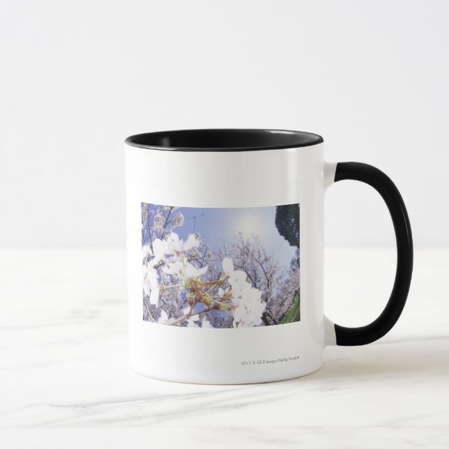 Mug Guêpe sur des fleurs de cerisier, fin (Droite)
