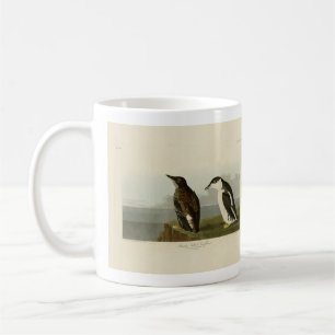 Mug Guillemot à bec mince, Audubon Birds of America