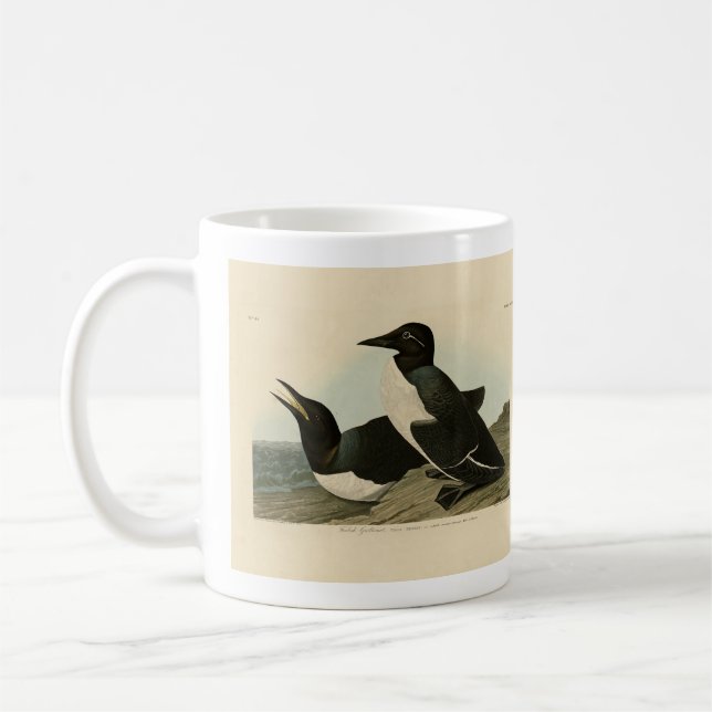 Mug Guillemot fou des oiseaux d'Amérique d'Audubon (Gauche)