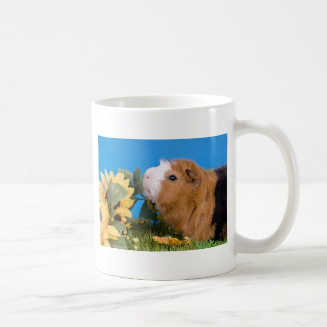 Mug guinea pig (Droite)