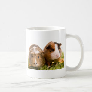 Mug guinea pigs on a lawn