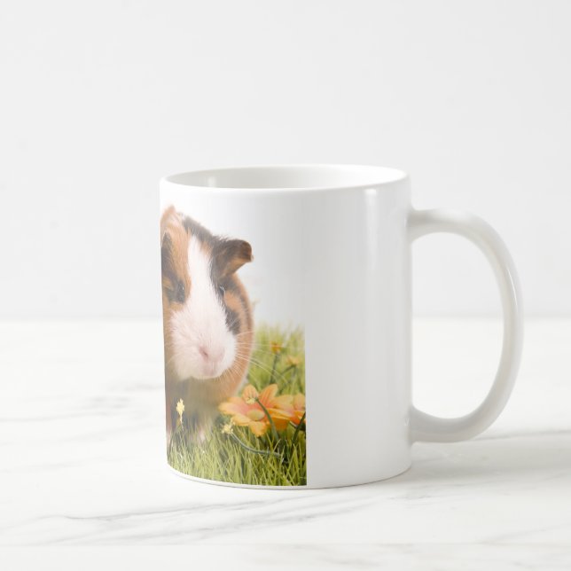 Mug guinea pigs on a lawn (Droite)