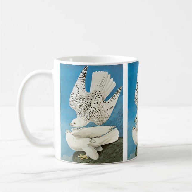 Mug Gyrfalcons, également appelés Gerfalcons par John  (Gauche)