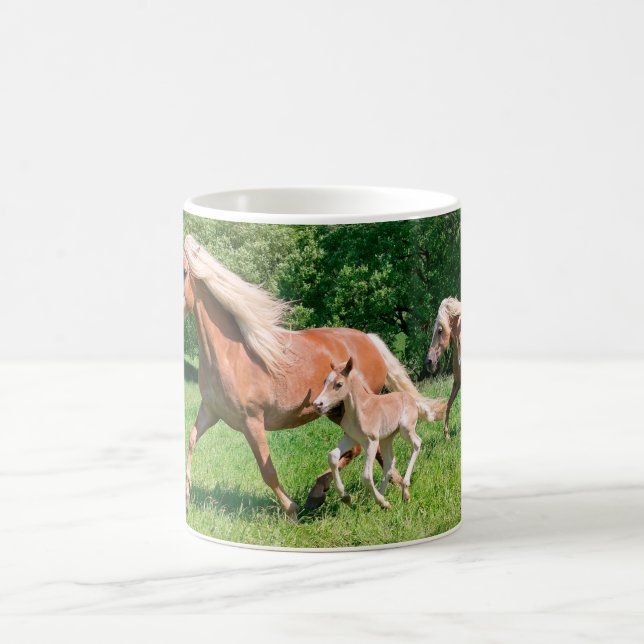 Mug Haflinger Horses with mignon Foals Run Funny Photo (Centre)