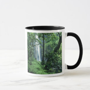 Mug Hanakapiai tombe le long de la côte de Na Pali, 