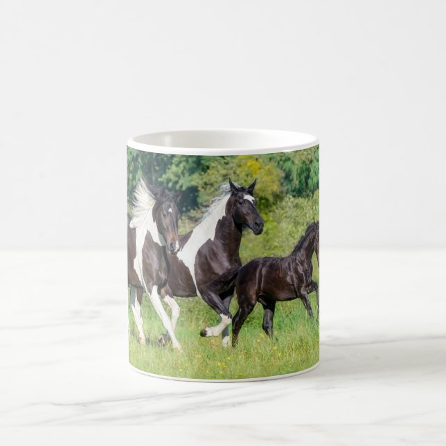 Mug Harde de Chevaux Pinto Barock avec mignonette Foal (Centre)