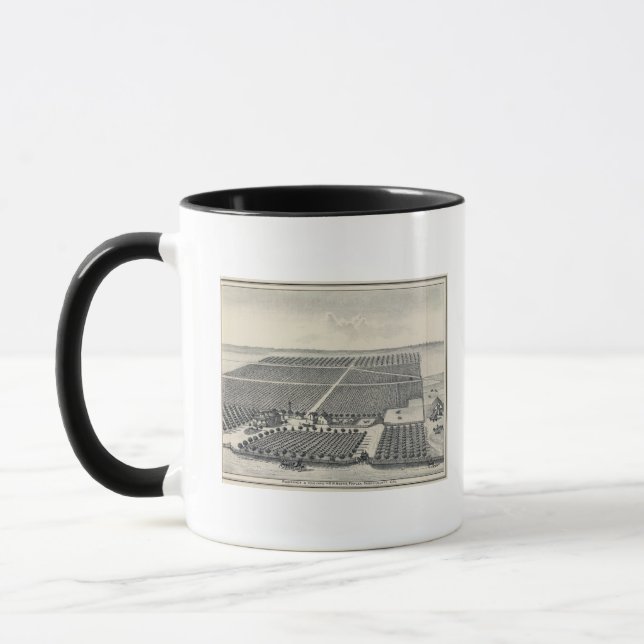 Mug Hastie Vineyard, Californie (Gauche)