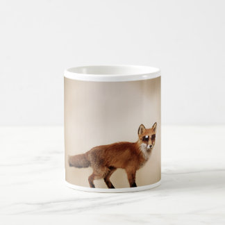 Mug Hausse et éclat