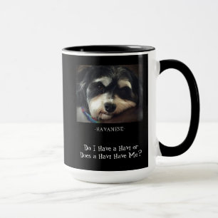 Mug Havanese-ai-je un Havi ?