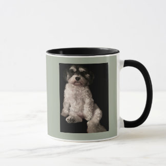 Mug Havanese-mettez l'image de votre chien ici