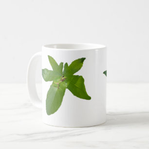 Mug "Havre de feuilles : une petite grenouille verte s