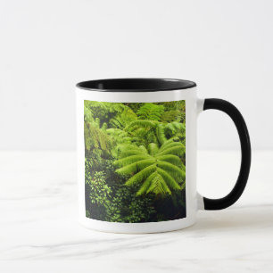 Mug Hawaï, Big Island, Une végétation tropicale luxuri