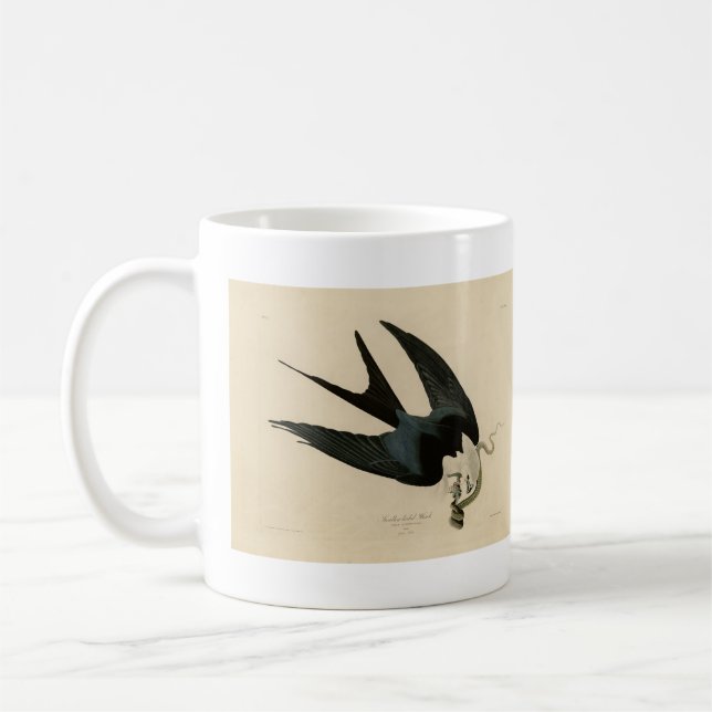 Mug Hawk à queue avale - Audubon's Birds of America (Gauche)