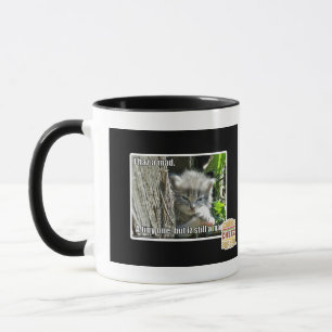 Mug Haz I un fou