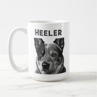 Heeler (chien Blue Heeler) en gros plan 