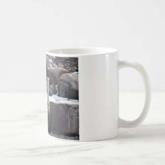 Mug Hermine sur des roches de Milou
