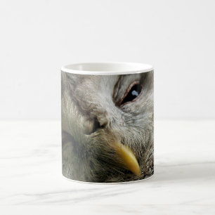MUG HIBOU