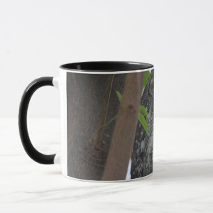 Mug Hibou africain dormant dans un arbre