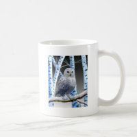 Hibou aux yeux bleus de neige