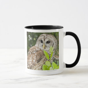 Mug Hibou barré
