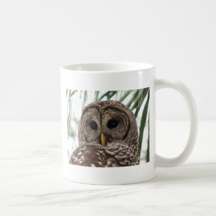 Mug Hibou barré