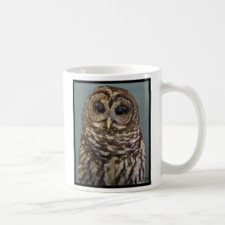 Mug Hibou barré