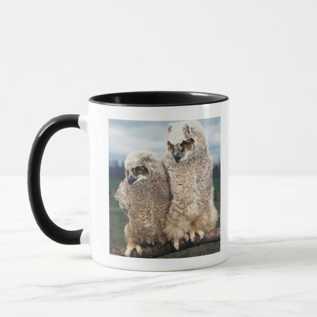 Mug Hibou de mère et de bébé (Gauche)
