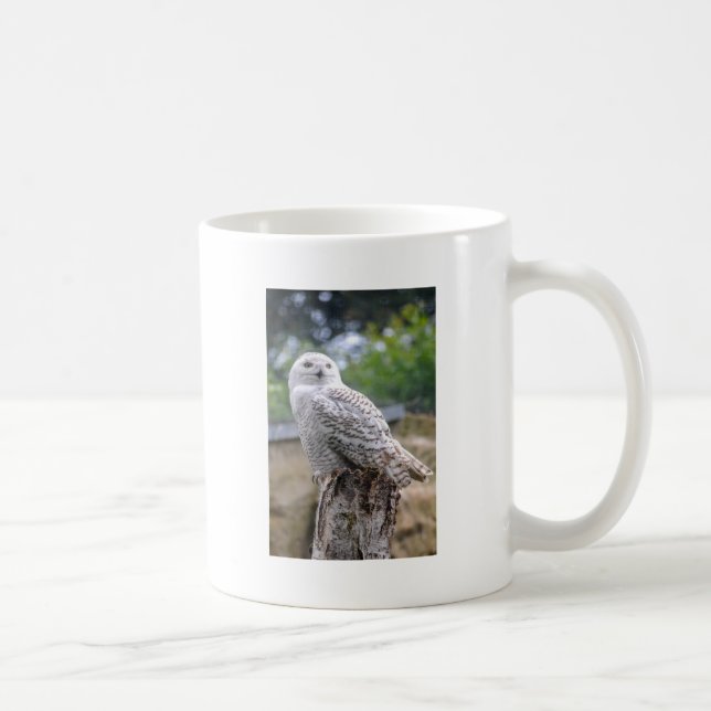 Mug Hibou des neiges (Droite)
