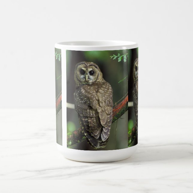 Mug Hibou repéré du nord (Centre)