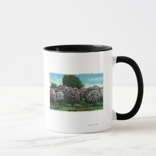 Mug Highland Park Lilacs à Bloom