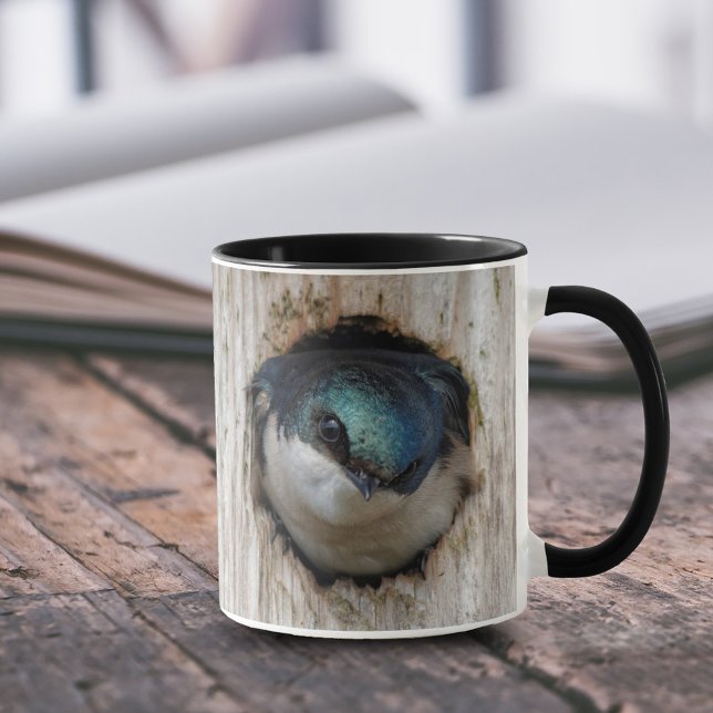Mug Hirondelle d'arbre dans une boîte à nuit (Tree Swallow Staring out from Nestbox 11 oz Coffee Mug Cover Photo.)