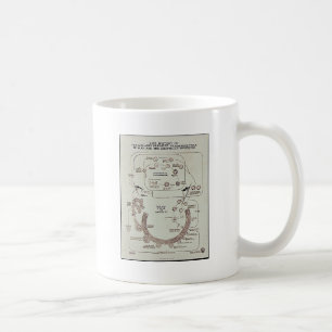 Mug Histoire de vie du parasite de malaria Plasmodiume