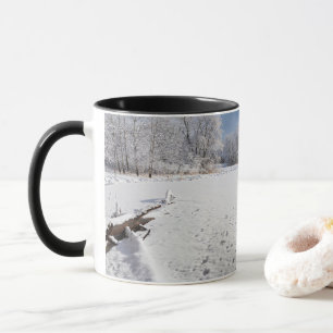 Mug hiver pittoresque le long de l'étang et des forêts