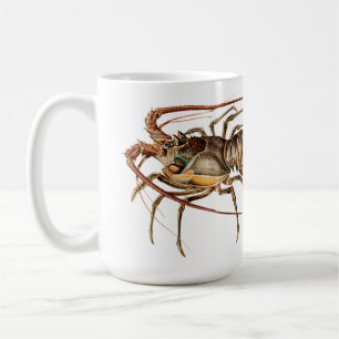 Mug Homard de roche - Panulirus Regis