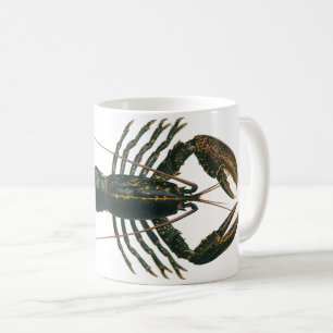 Mug Homard vintage, Marine Ocean Life Crustacean