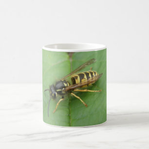 Mug Hoverfly sur une boule de feuilles