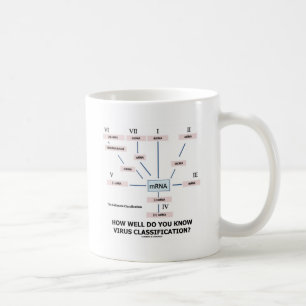Mug How Well Do You Know Virus Classification ?